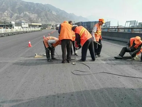 阜南道路桥梁病害治理